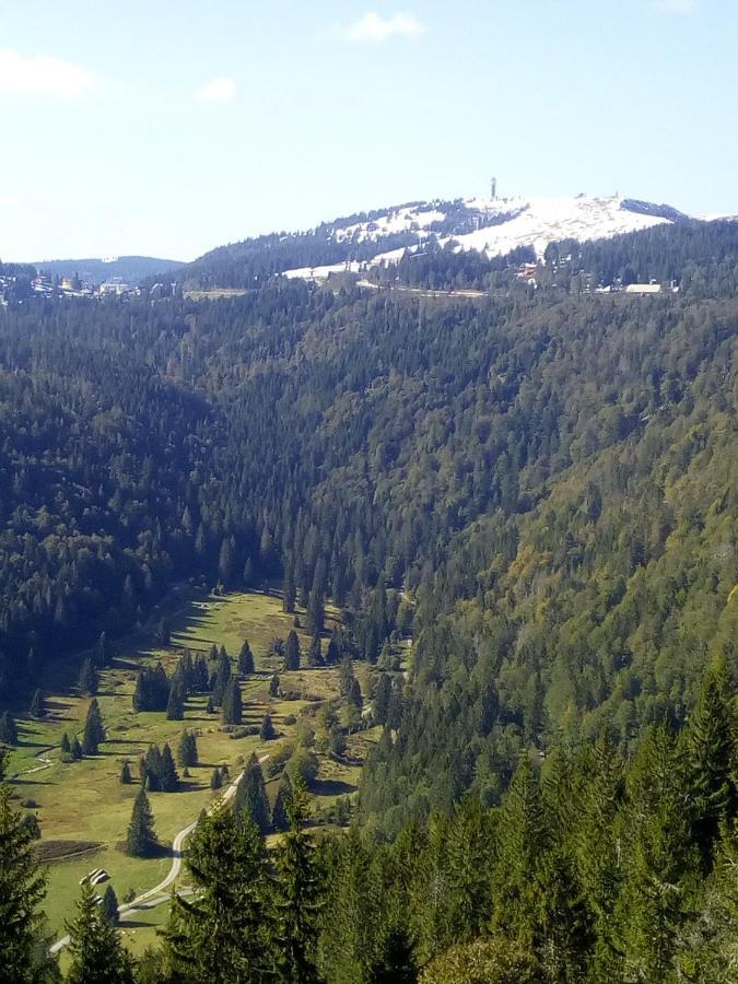 Ferienwohnung Waldrast Lenzkirch Exteriör bild